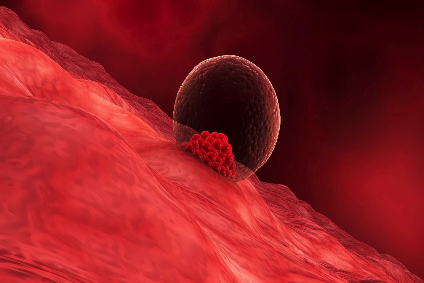 Chances of Getting Pregnant Following Houston IVF Treatment